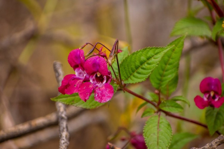 "По весточке": яркие факты