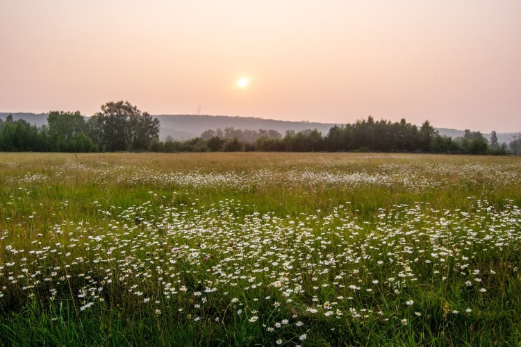 Пять новых муниципальных округов появится в Иркутской области