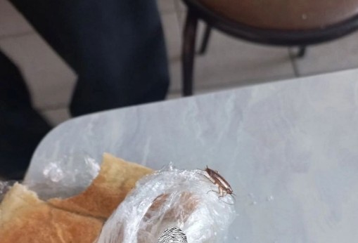 После видео с тараканами столовую колледжа в Иркутске проверит прокуратура