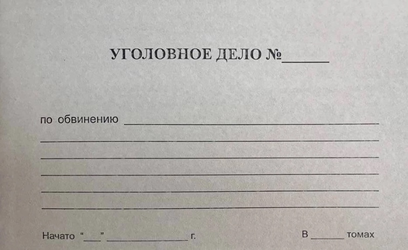 По факту нападения пантеры на ребёнка в Ангарске возбуждено уголовное дело