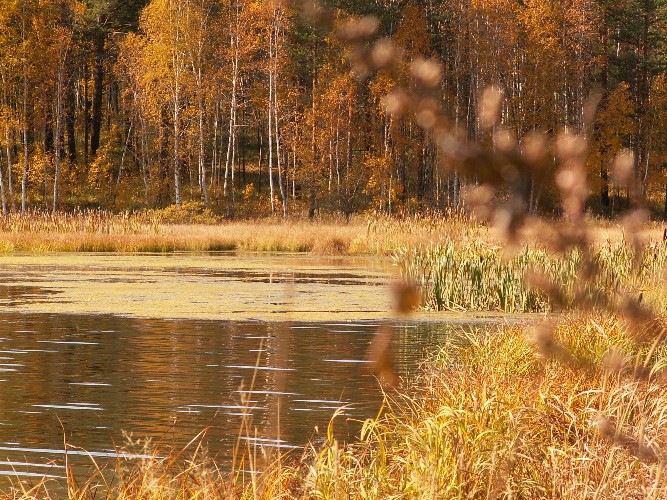 "По весточке": всё произошло в октябре
