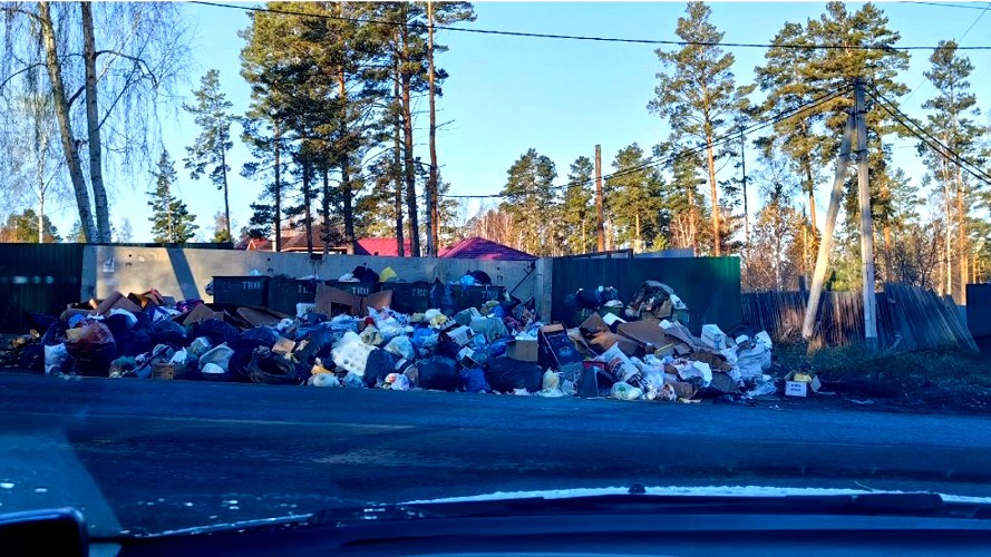 Из-за нарушений администрации контейнерная площадка в селе Мамоны превратилась в свалку