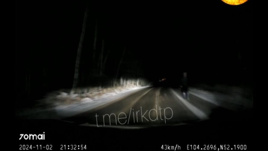 247 ДТП по вине пешеходов произошло в Иркутской области в 2024 году