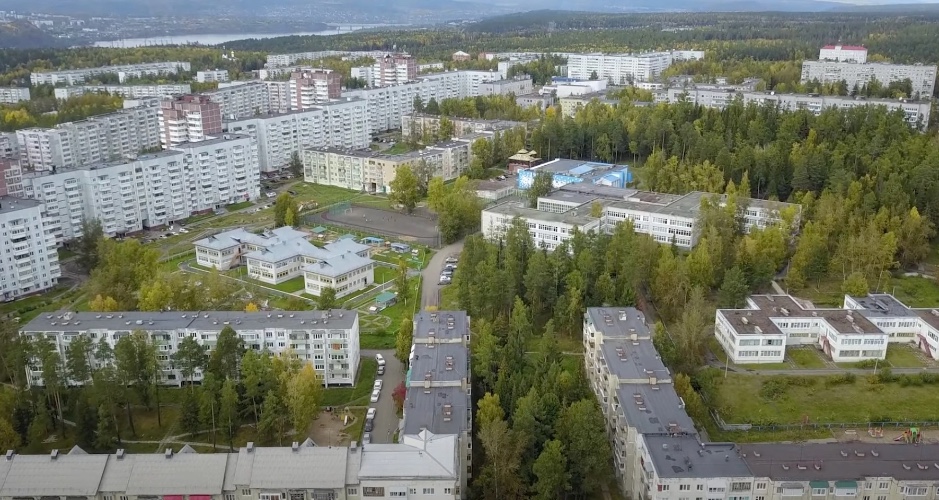 На обследовании городских лесов настояла прокуратура в Усть-Илимске