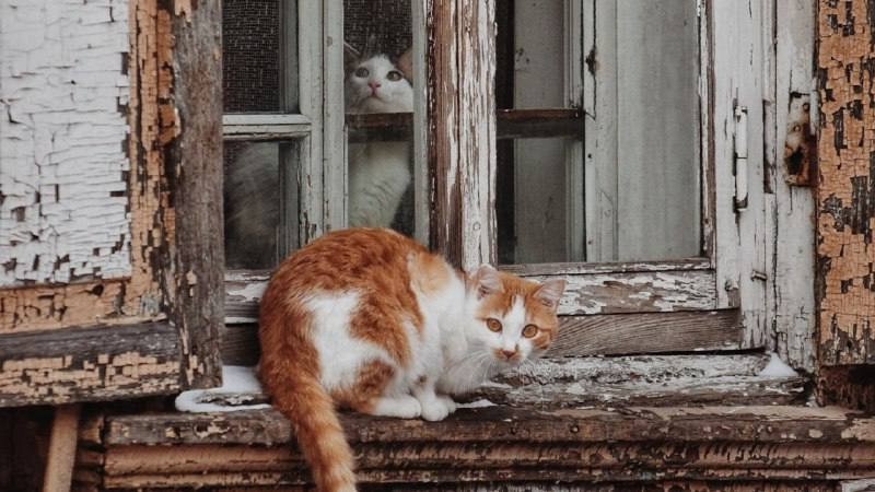 "По весточке": идеи для отдыха