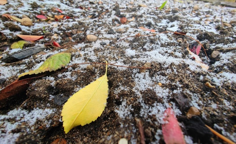 Следующая неделя в Иркутской области будет тёплой