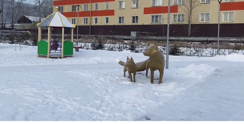 Лиса с лисëнком "поселилась" в одном из городских парков Усть-Кута