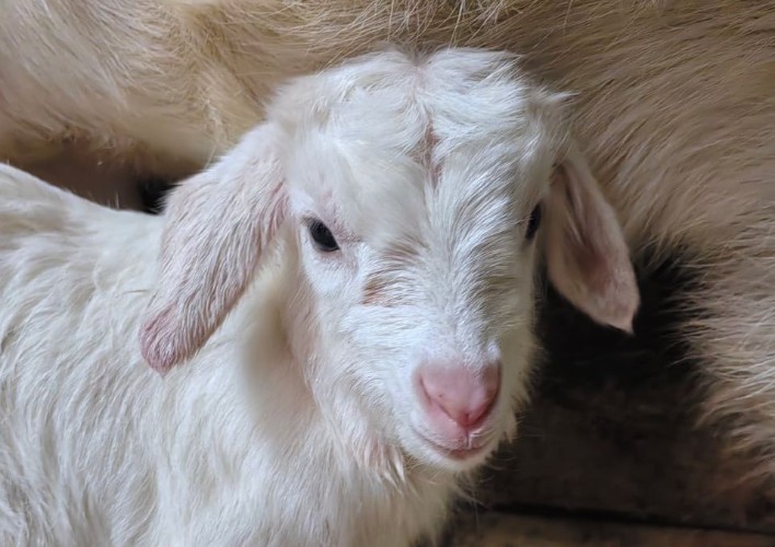 "По весточке": в мире увлекательного