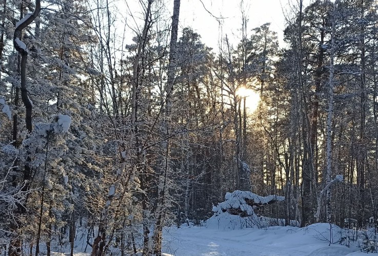 Начало весны Приангарье встретит морозами