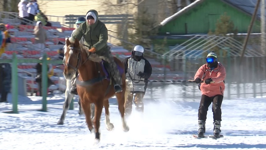 Соревнования по скиджорингу возрождают на иркутском ипподроме