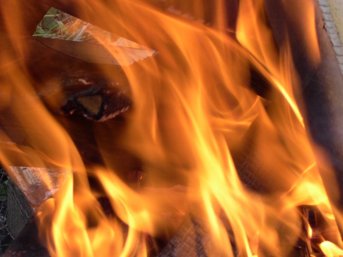 Фермер компенсировал затраты на тушение лесного пожара в Приангарье