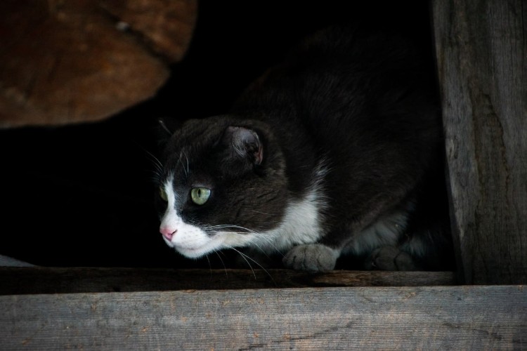 «По весточке»: по дороге радости
