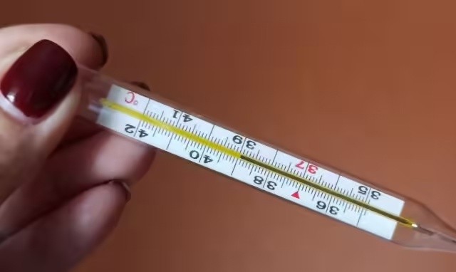 Более 24 тысяч жителей Приангарья заболели ОРВИ на прошлой неделе