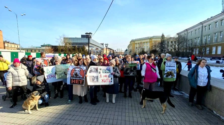 Митинг против эвтаназии бездомных собак прошёл в Иркутске