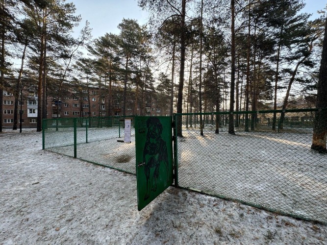 Вольер для собак у детского сада в Ангарске демонтируют по решению суда