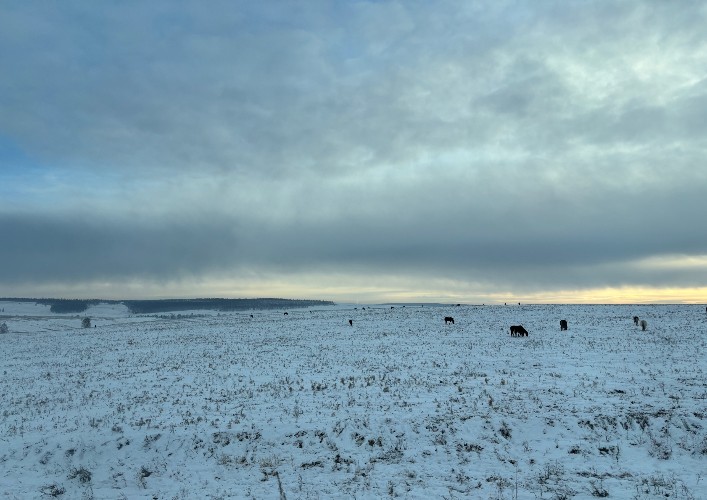 61 земельный участок передан многодетным семьям в Иркутском районе