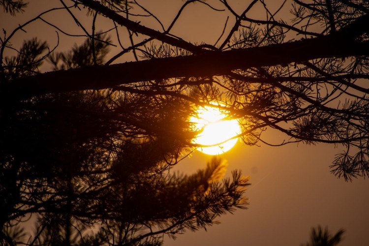 «По весточке»: в тёплых объятьях