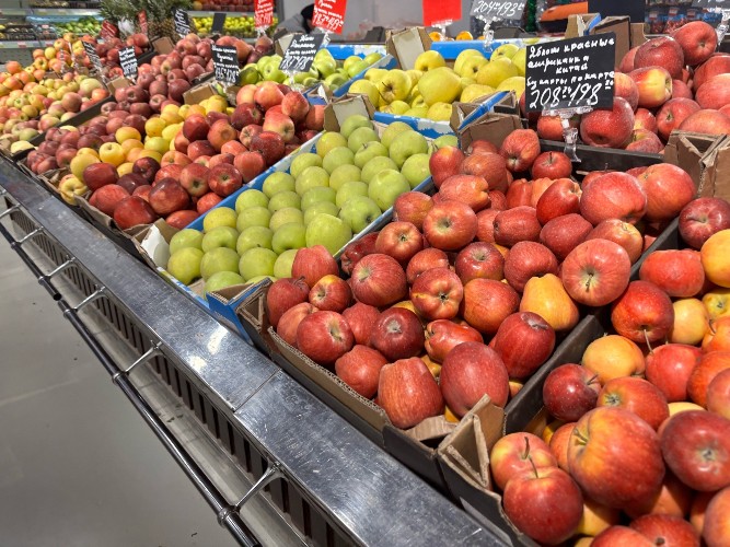 На 5,7% выросло число ИП в Иркутской области