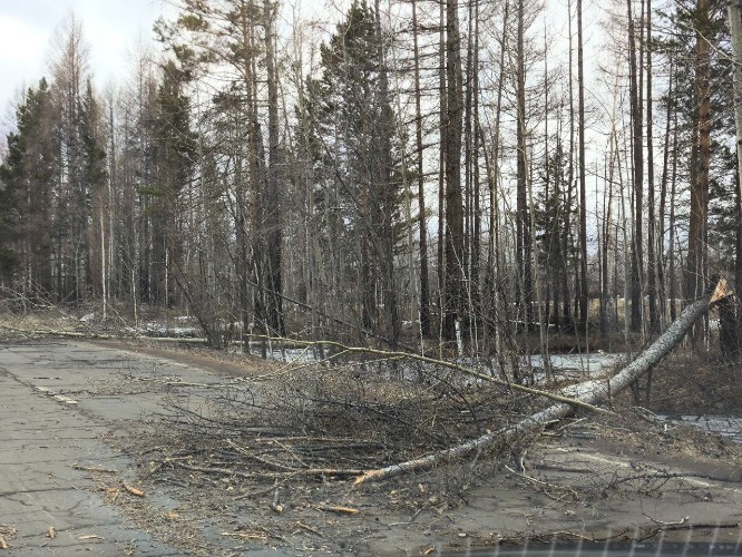 Режим ЧС областного уровня введён в Братском и Нижнеудинском районах
