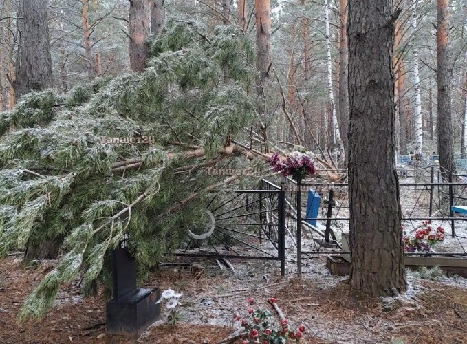 Ураган завалил деревьями кладбище в Тайшете