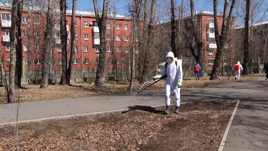 В Иркутске началась противоклещевая обработка общественных пространств