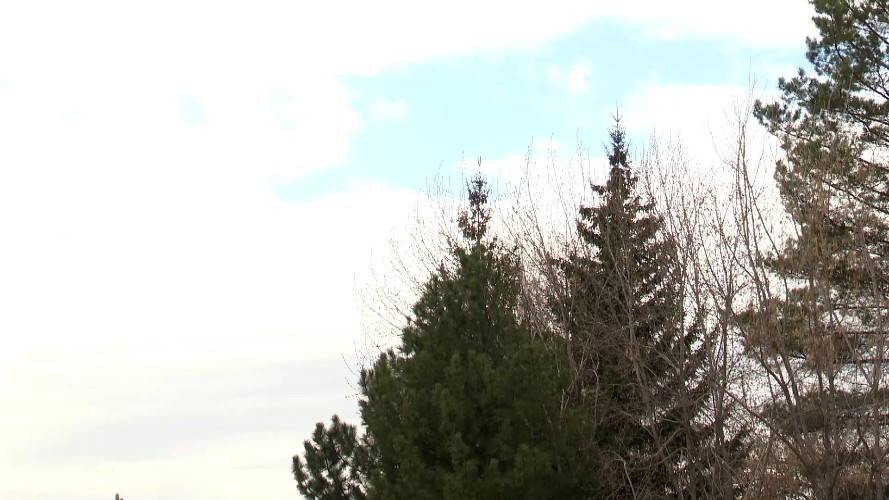 До конца недели в Иркутской области ожидаются сильные ветра до 25 м/с