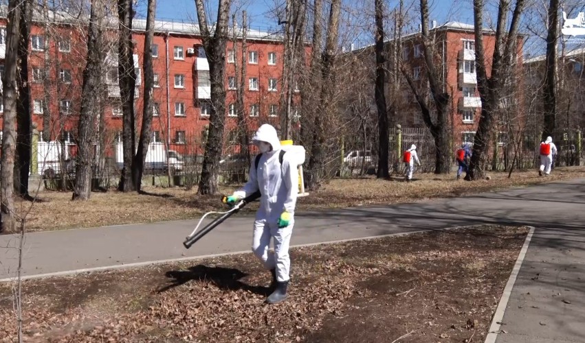 В Иркутске началась противоклещевая обработка общественных пространств