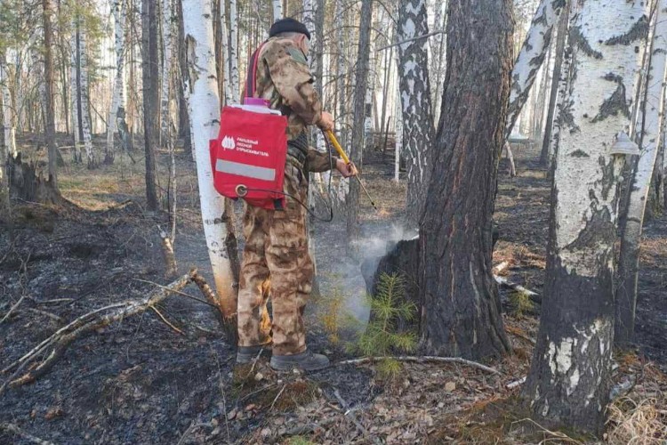 Восемь лесных пожаров ликвидировали за сутки в Иркутской области