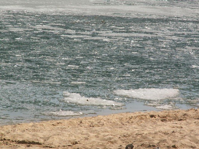 Из-за ранней весны на Байкале значительно снизилось число туристов