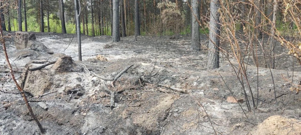 Виновник крупного ландшафтного пожара установлен в Шелеховском районе