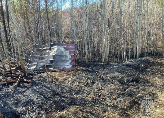 Дачник устроил масштабный ландшафтный пожар под Иркутском