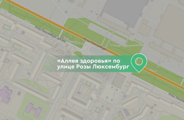 «Аллея здоровья» появится на улице Розы Люксембург в Иркутске