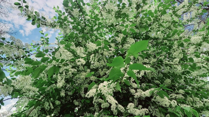 "По весточке": всё возможно