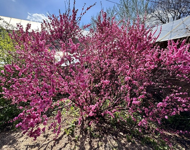 "По весточке": ловим вдохновение