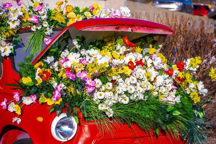 "По весточке": дуэль добра