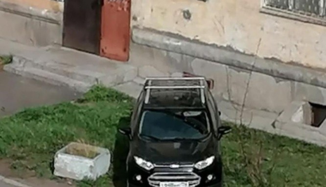 За несанкционированную рекламу и грязные заборы намерены штрафовать в Братске