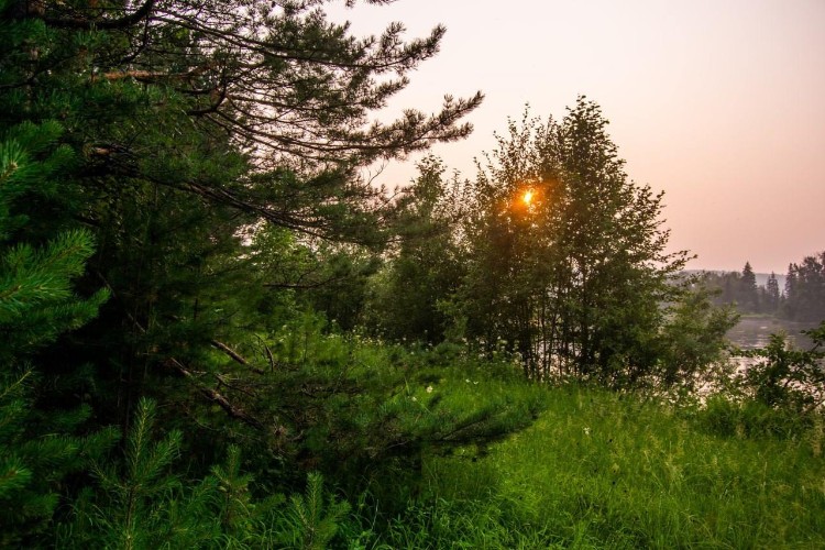В Иркутской области ожидаются грозы, сильный ветер и высокая пожароопасность 23-24 мая
