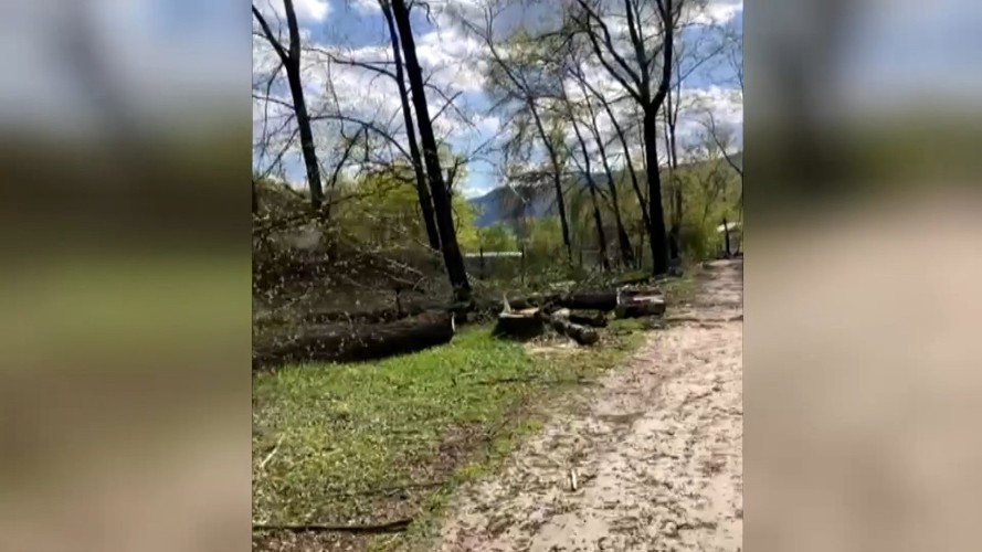 На набережной в Слюдянке массово вырубили деревья