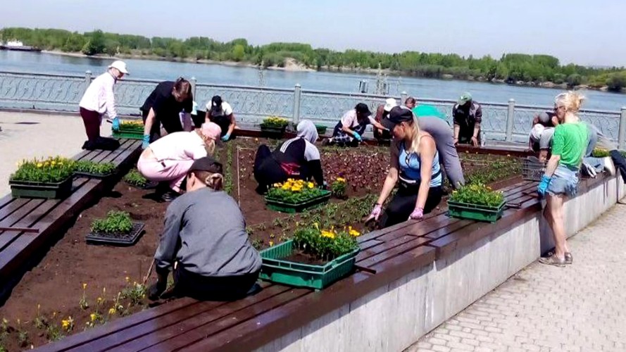 В Иркутске создают букет из 420 тысяч цветов