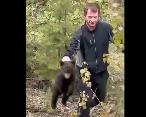 Медвежонка сбросили с дерева и посадили в мешок в Иркутской области