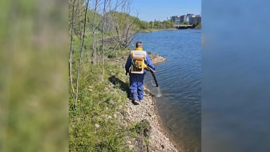 80 гектаров водоёмов Иркутска обработали химическими растворами