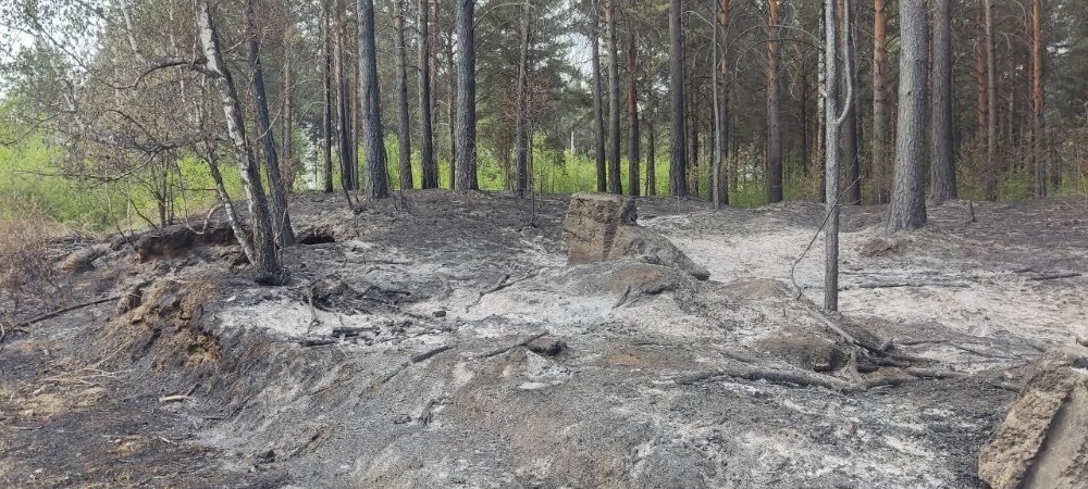 Житель Нижнеилимского района не залил костёр и сжёг леса на 40 млн рублей