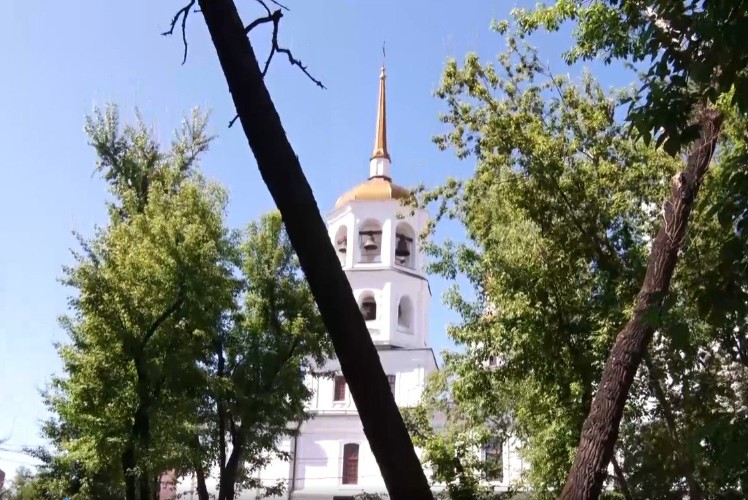 Снос аварийных деревьев начали в Иркутске