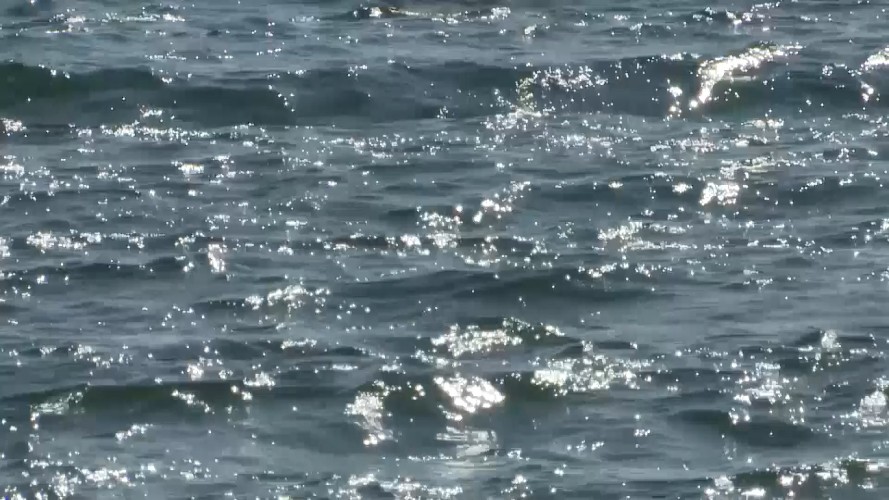 Вода в 19 популярных местах отдыха в Иркутской области не прошла проверку