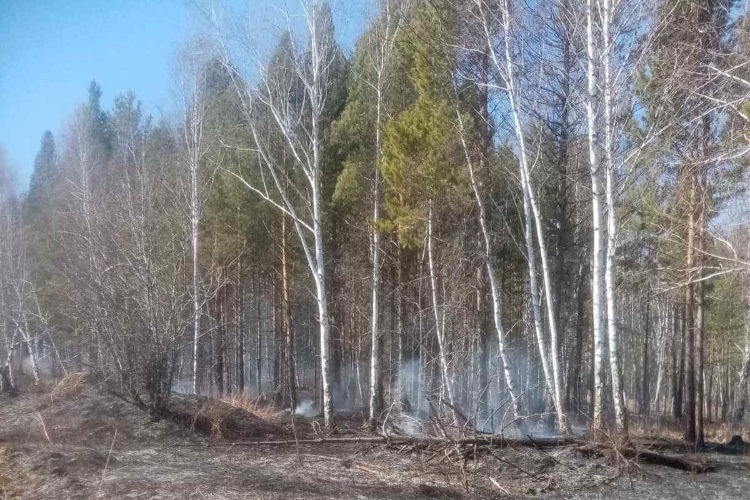Два пожара потушили за сутки в лесах Иркутской области