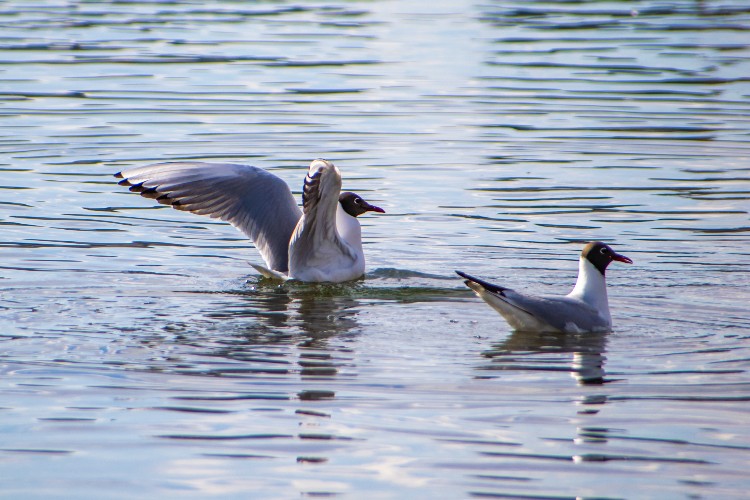 "По весточке": радость - в мелочах