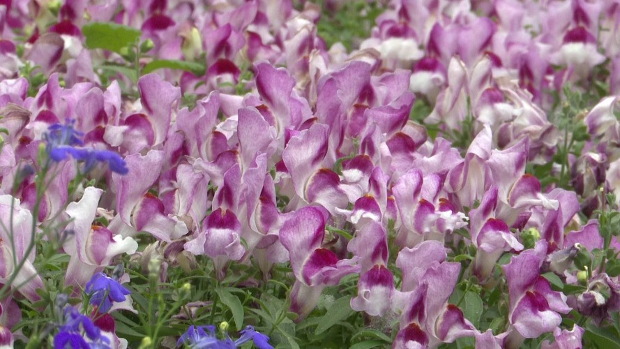 Лето - сезон особых правонарушений в Иркутской области