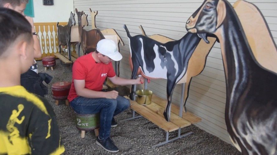 Доить коз и варить сыр учатся школьники на аграрных мастер-классах в Иркутском районе