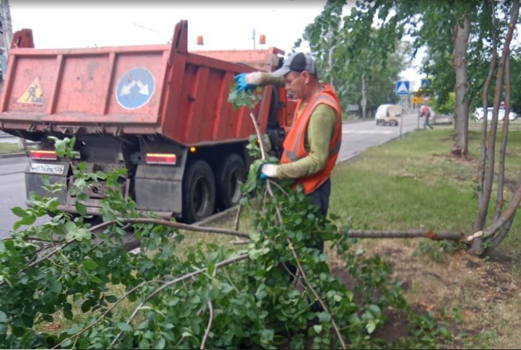 Сильный ветер уронил два дерева во время грозы в Иркутске
