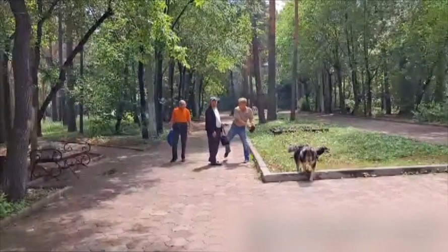 Драки на дорогах и в общественных местах становятся нормой для Иркутской области